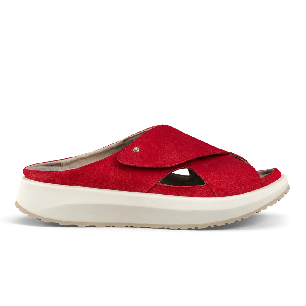 Joya Alicante Red