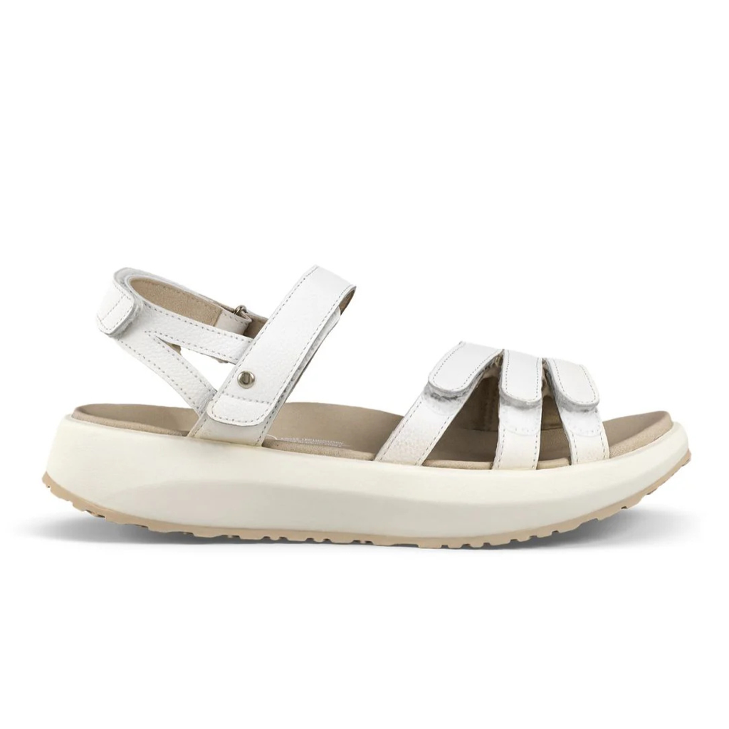 Joya Merida White