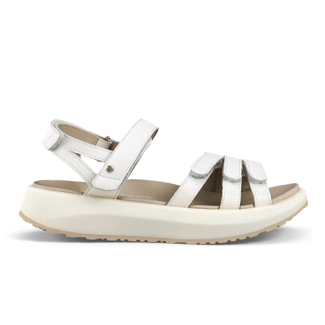 Joya Merida White