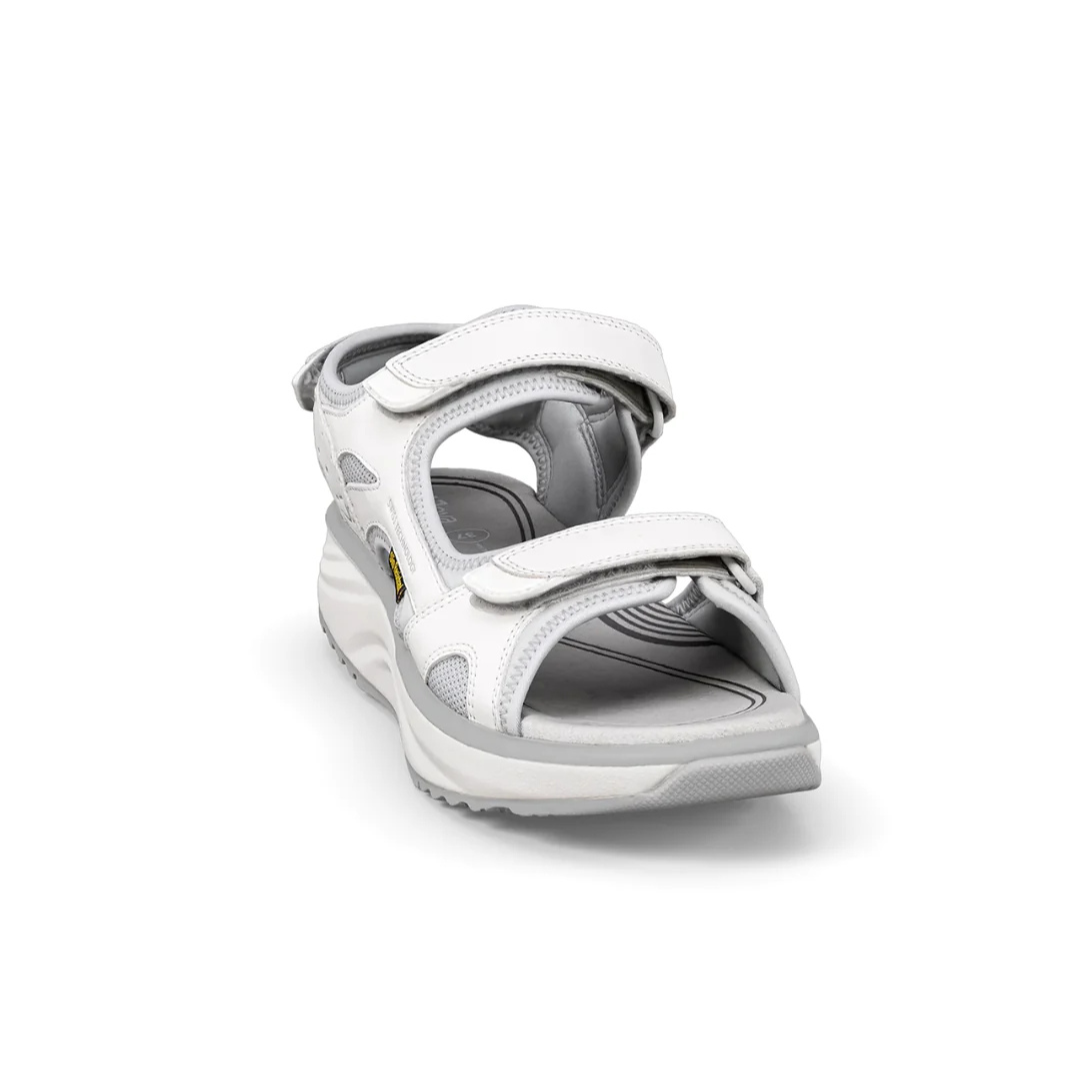 Joya Komodo II SR White