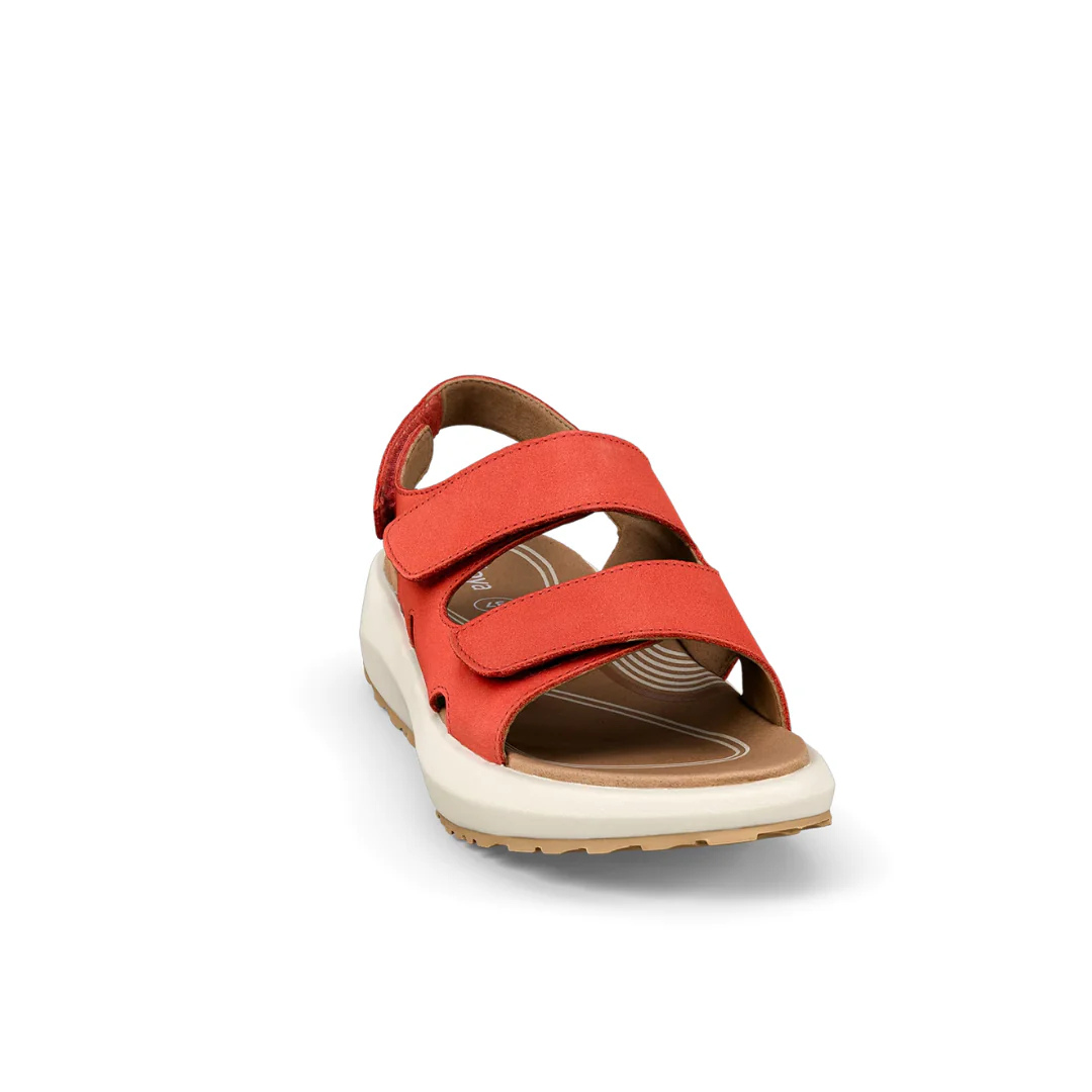 Joya Panama Red