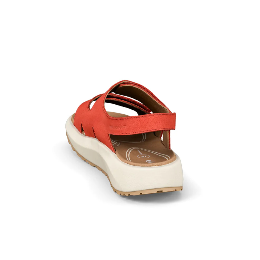 Joya Panama Red